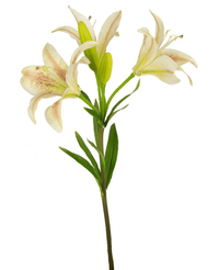 Kunstig blomst asiatisk lilje 66 cm pink