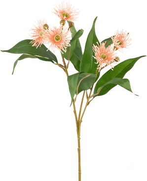 Kunstig gren Blomstrende eukalyptus 62 cm gammelrosa