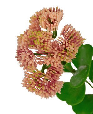 Kunstig gren Sedum 56 cm lyserød