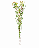 Kunstig gren Waxflower 78 cm creme