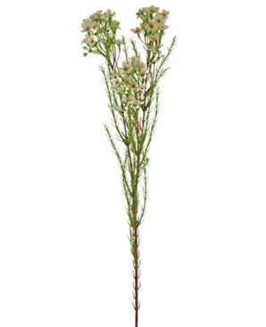 Kunstig gren Waxflower 78 cm creme