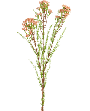 Kunstig gren Waxflower 78 cm pink