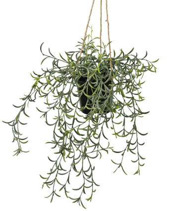 Kunstig hængeplante Senecio med potte 35 cm