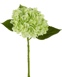 Kunstig hortensia "Annabelle" Real Touch Green 55 cm