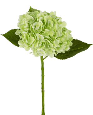 Kunstig hortensia "Annabelle" Real Touch Green 55 cm