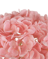 Kunstig hortensia "Annabelle" Real Touch Pink 55 cm