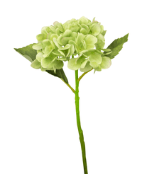 Kunstig hortensia Deluxe 33 cm grøn