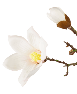 Kunstig magnoliagren Real Touch Hvid 98cm