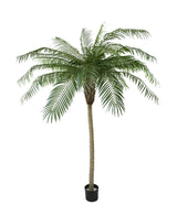 Kunstig palme Phoenix De Luxe 210 cm