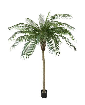 Kunstig palme Phoenix De Luxe 210 cm