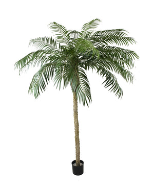 Kunstig palme Phoenix De Luxe 250 cm