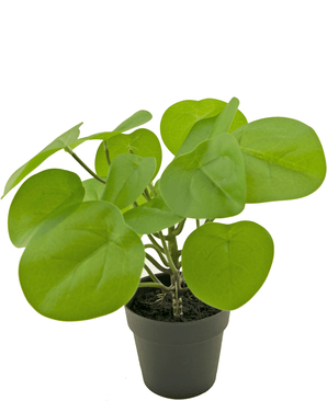 Kunstig pandekageplante 27 cm