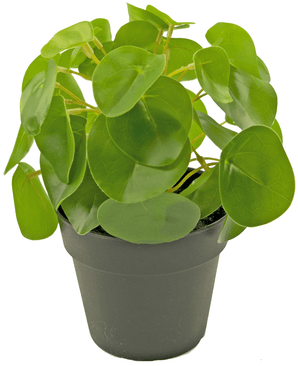 Kunstig pandekageplante mini 20 cm