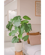 Kunstig plante Alocasia 120 cm