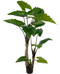 Kunstig plante Alocasia 180 cm