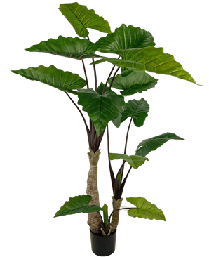 Kunstig plante Alocasia 180 cm