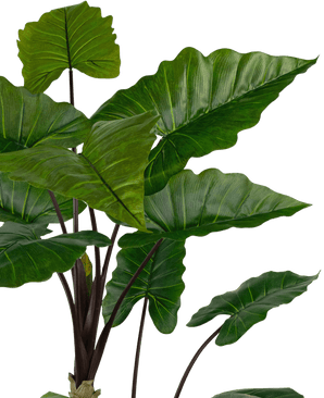 Kunstig plante Alocasia 180 cm