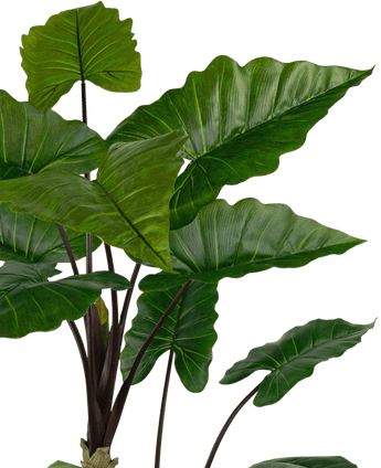 Kunstig plante Alocasia 180 cm