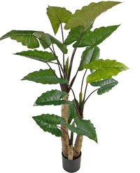 Kunstig plante Alocasia 210 cm