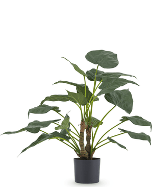 Kunstig plante Alocasia Cucullata 53 cm