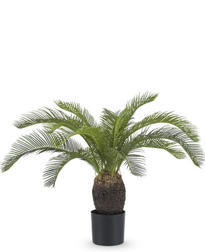 Kunstig plante Baby Cycas Palm 60 cm