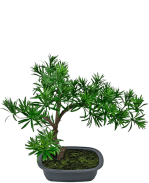 Kunstig plante Bonsai Podocarpus 40 cm