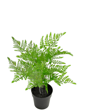 Kunstig plante Bregne 35 cm