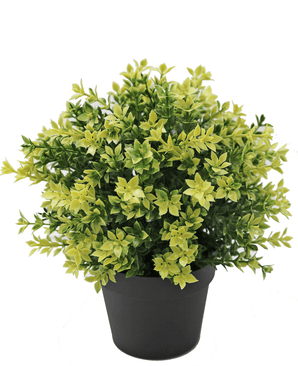 Kunstig plante Buxus gul 22 cm UV