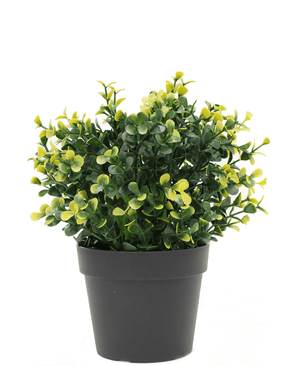 Kunstig plante Buxus gul i potte 19 cm UV