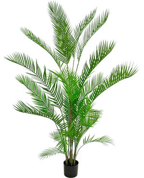 Kunstig plante Chamaedorea 180 cm