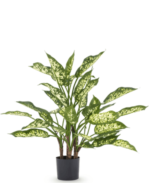 Kunstig plante Dieffenbachia 75 cm