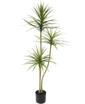 Kunstig plante Dracaena Fragnans 150 cm