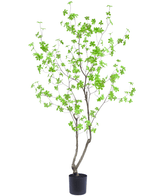 Kunstig plante Enkianthus 180 cm