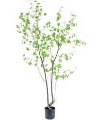 Kunstig plante Enkianthus 210 cm