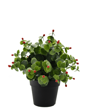Kunstig plante Eucalyptus rød i potte 22 cm UV