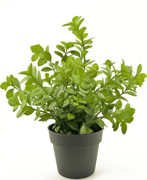 Kunstig plante Eukalyptus 27 cm