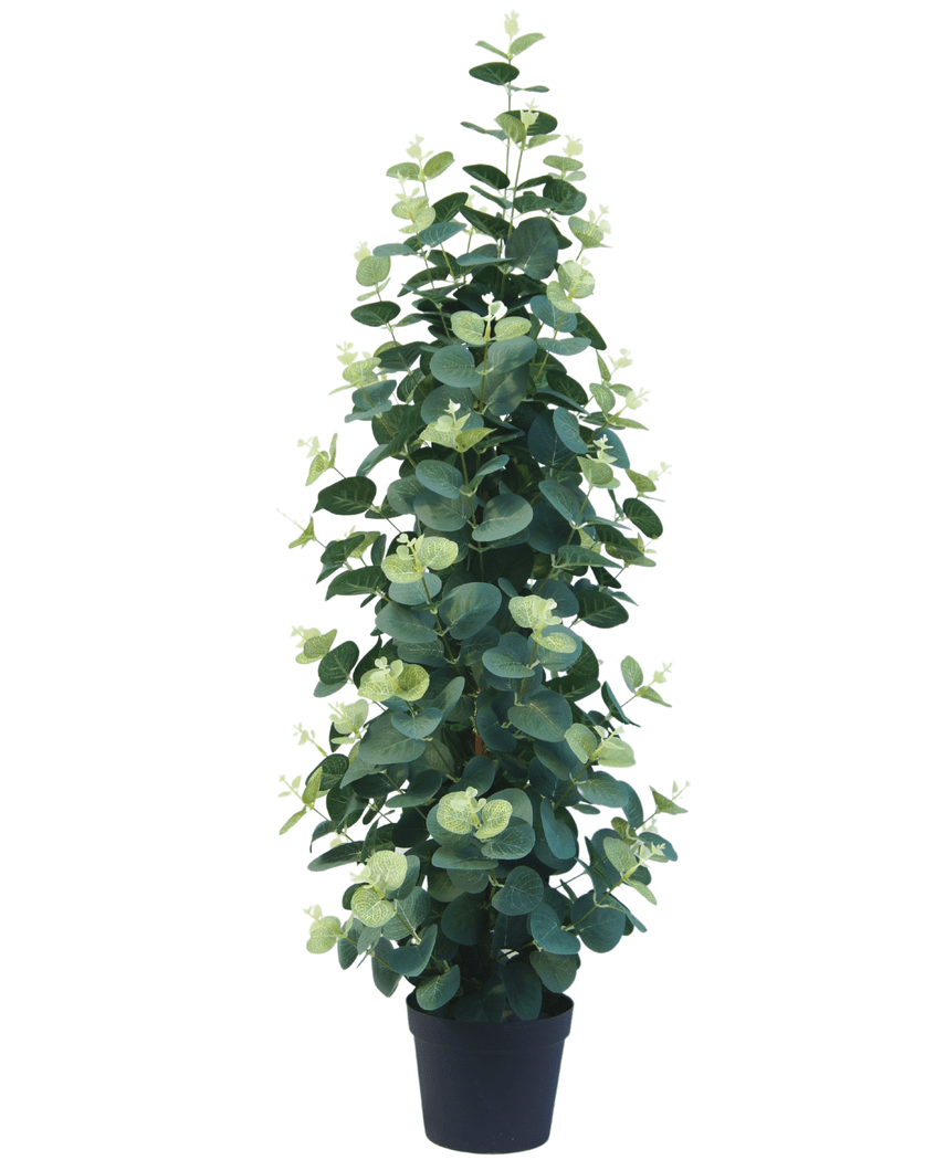 Kunstig plante Eukalyptus 76 cm