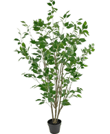 Kunstig plante Ficus 150 cm