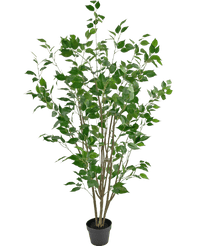 Kunstig plante Ficus 150 cm