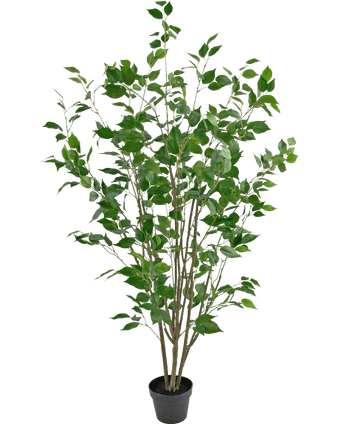 Kunstig plante Ficus 150 cm