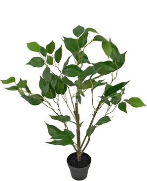 Kunstig plante Ficus 60 cm