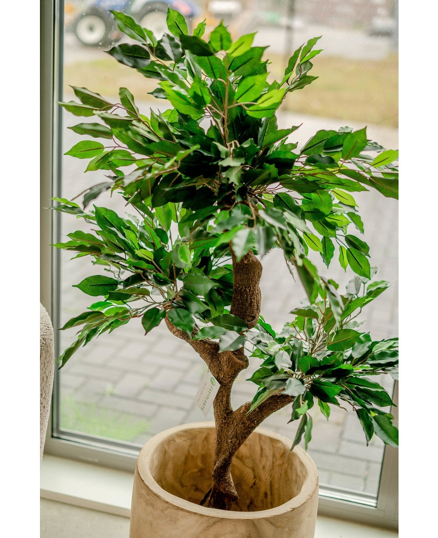 Kunstig plante Ficus Crazy 120 cm