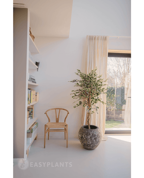 Kunstig plante Ficus Fur 150 cm