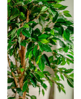 Kunstig plante Ficus Green 180 cm