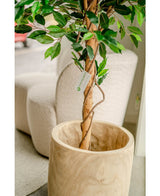 Kunstig plante Ficus Green 180 cm