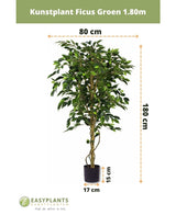 Kunstig plante Ficus Green 180 cm