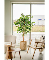 Kunstig plante Ficus Green 180 cm