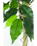 Kunstig plante Ficus Green 90 cm