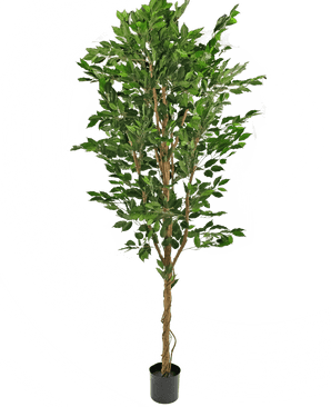 Kunstig plante Ficus Grøn 210 cm