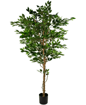 Kunstig plante Ficus Grøn 210 cm